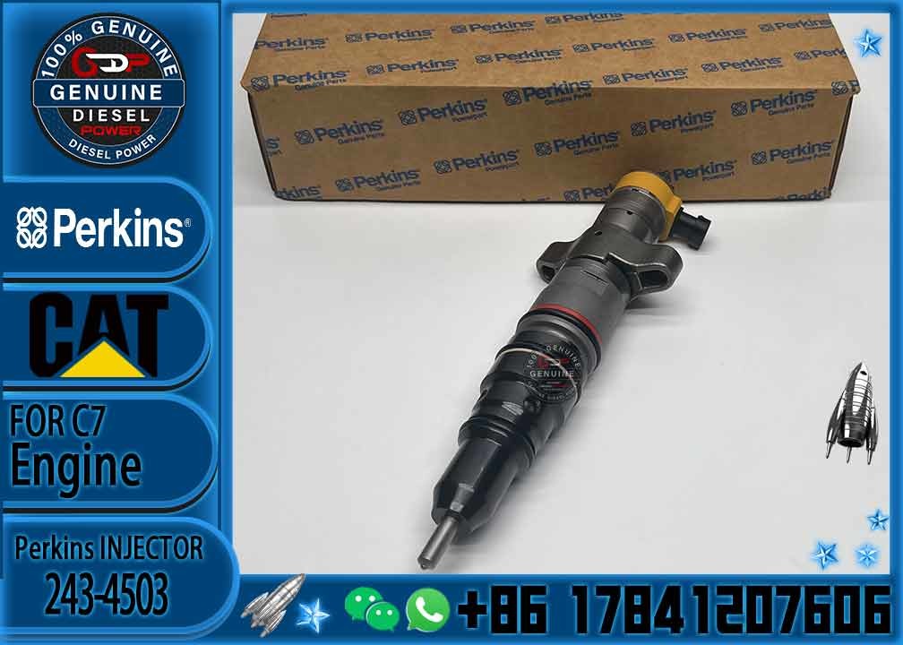 Diesel Engine Parts Common Rail Fuel Injector 243-4503 for CAT C7 Diesel Engine CNDIP Factory price