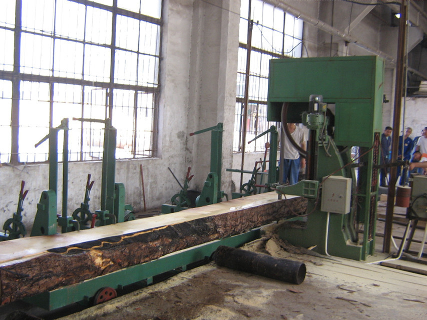Wood Plank Making Machine!!! MJ3310-Z5000 Vertical Band Saw Cutting Machine For Wood Cutting