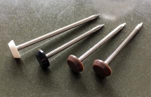 China Plastic Head Stainless Steel Nail with ring shank wholesale