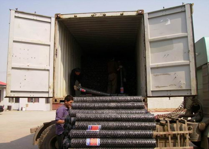 1.2mm Wire Hot Dipped Galvanized Hexagon Metal Mesh