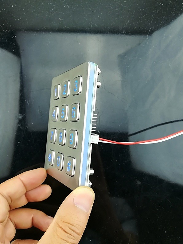 12 keys Panel mounted stainless steel illuminanted keypad with male pin out connector