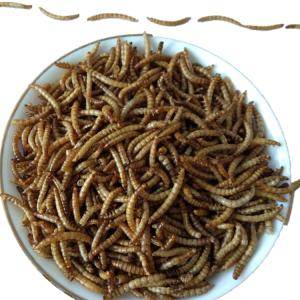 China Dry And Cool Place Storage for Dried Mealworm with Natural Flavor wholesale