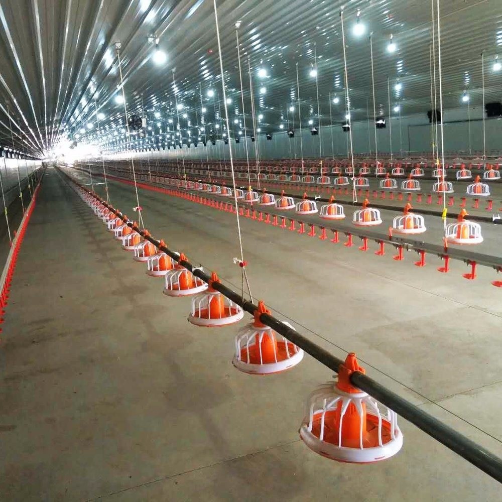 Chicken Farm Automatic Feeding Poultry Winching System