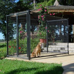 China Outdoor Farm Large Dog Kennel Heavy Duty Rectangle wholesale