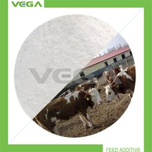 China 20% Florfenicol Premix China Product for Animal wholesale