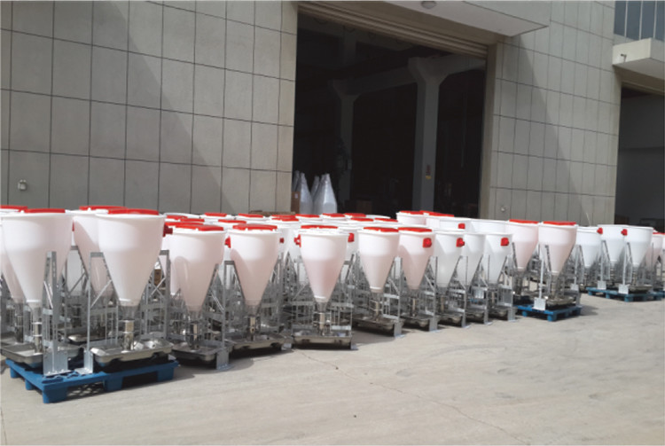 Anti Corrosion Livestock Feeding Equipment Pig Wet Dry Feeder Trough
