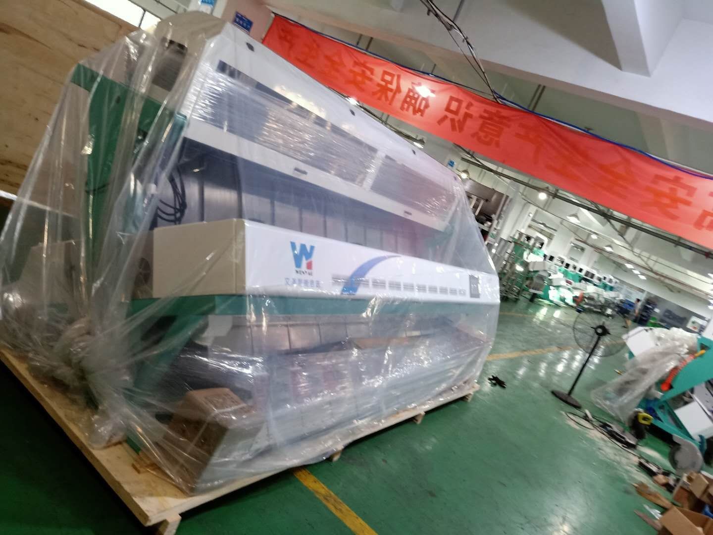 Mexico Macadamia Nuts Color Sorter With Full Color CCD Camera