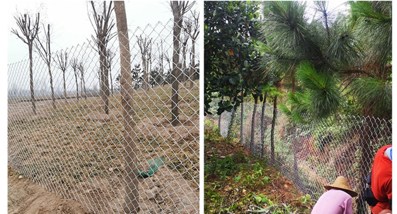 Chain Link Fencing – The Perfect Blend of Security, Durability, and Versatility