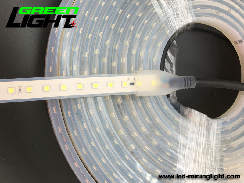 IP68 6500K SMD5050 Waterproof Led Strip Lights 12V RGB ATEX