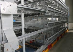 China Professional Layer Poultry Farming Equipment Easy Use Environment Friendly wholesale