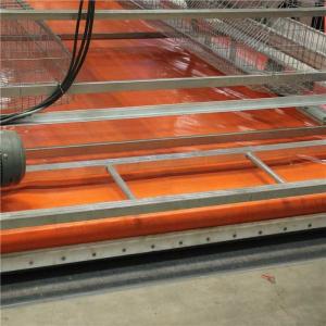 China Automatic Control Poultry House Cleanout Equipment , Powerful Poultry Farm Cage wholesale