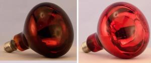 China Red infrared lamp 100W 150W 175W 200W 250W 275W animal chicken pig pet therapy infrared heating bulb wholesale