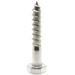 DIN571 Galvanized Stainless Steel SS304 SS316 Hex Head Wood Screw Lag Bolt Coach