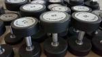 dumbbells for gym OEM the dumbbell