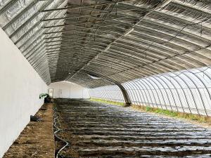 China Customized Temperature Control Solar Passive Greenhouse with High Insulation wholesale