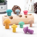 Educational Developmental Shape Wooden Mushroom Picking Game