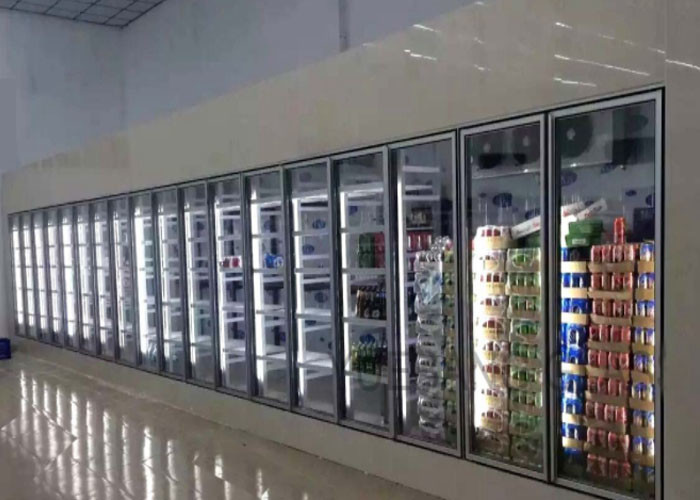 Low Temperature Polyurethane Cold Storage Room Freezer With White Core