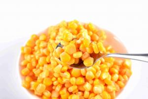 China Nutritious Canned Sweet Corn Harvester Safe Healthy Agricultural Products wholesale