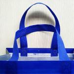 Eco Friendly Non Woven Shopping Bags Silk Screen Non Woven Shoe Bag