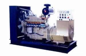 China 280KVA 110V Natural Gas Generator Set , 3 Phase CNG Generator Set CE Certified wholesale