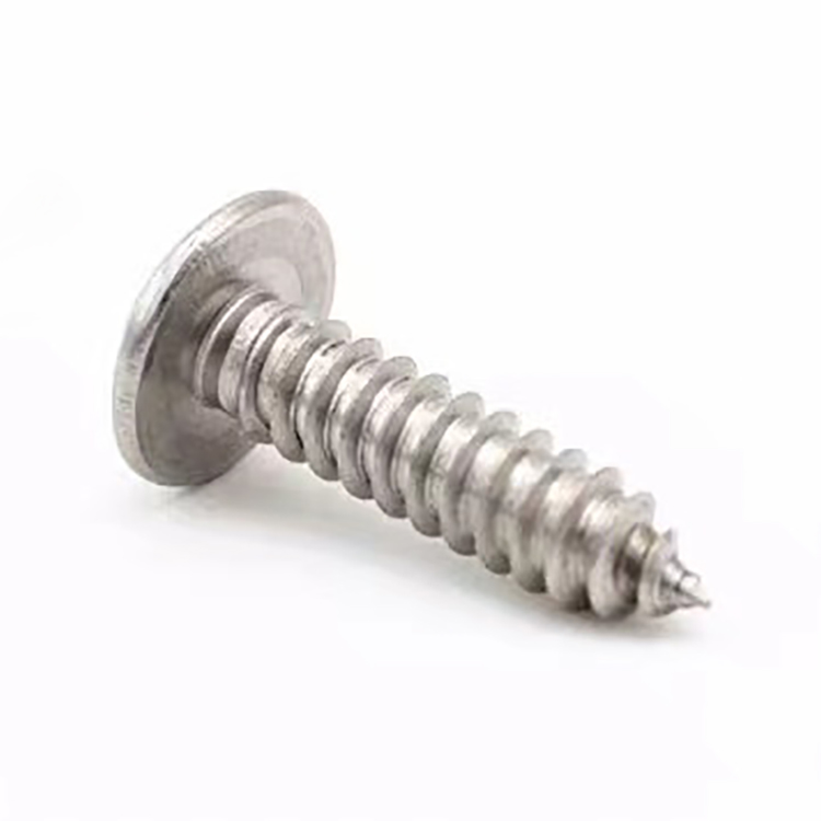 Stainless steel 304 cross large round head mushroom head self tapping screw