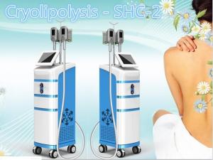 China Wholesales Portable Cryolipo Venus Freeze Machine wholesale