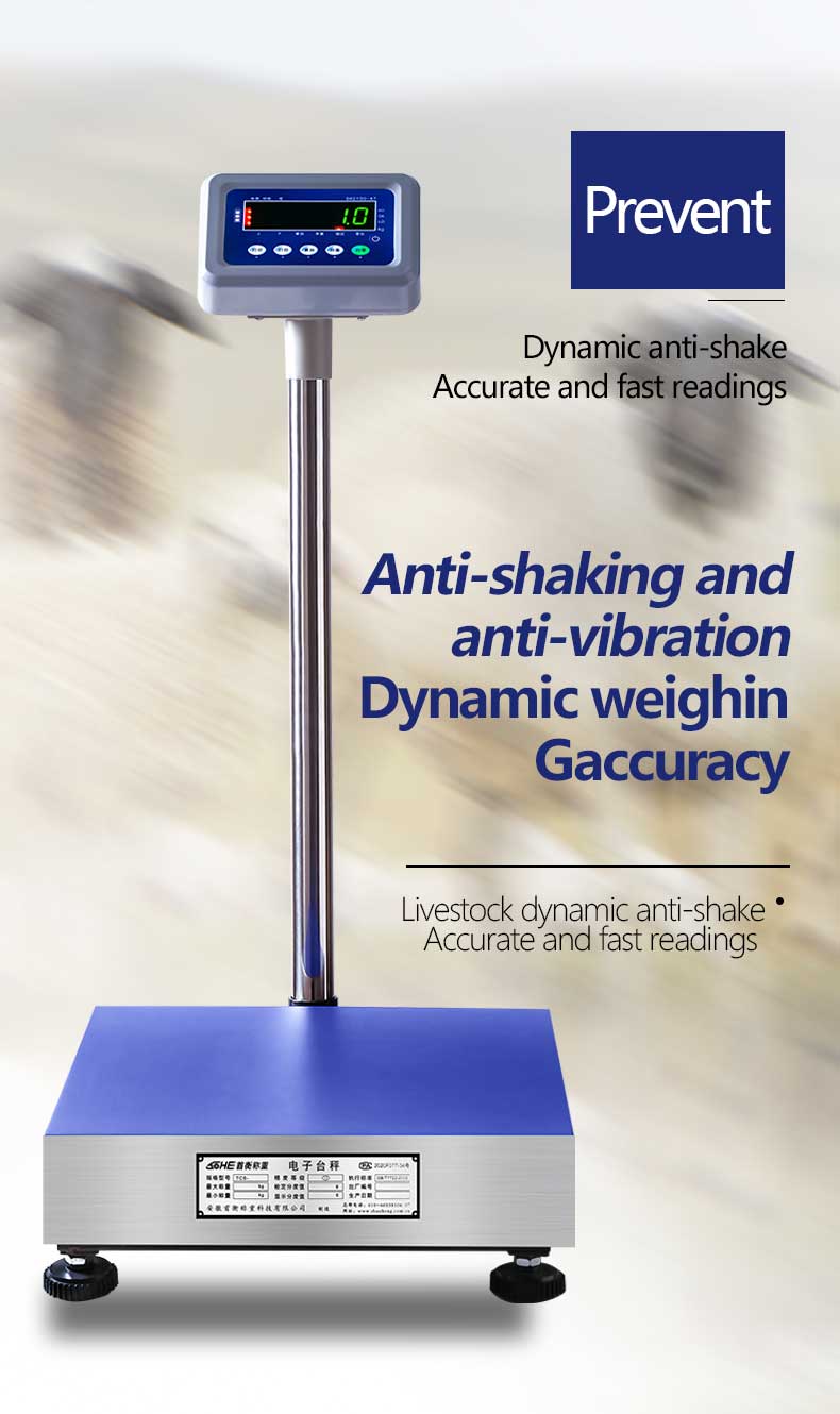 ABS stainless steel Electronic Platform Scale for Industrial Weighing Applications