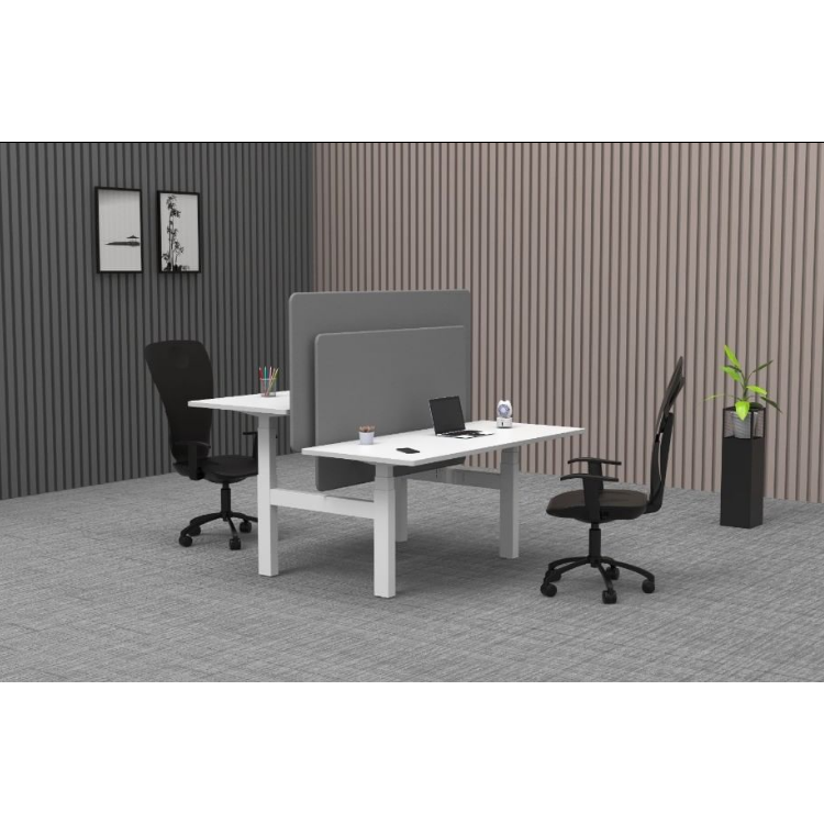 Modern Design Style Custom Electric Sit and Stand Up Office Table with Adjustable Height