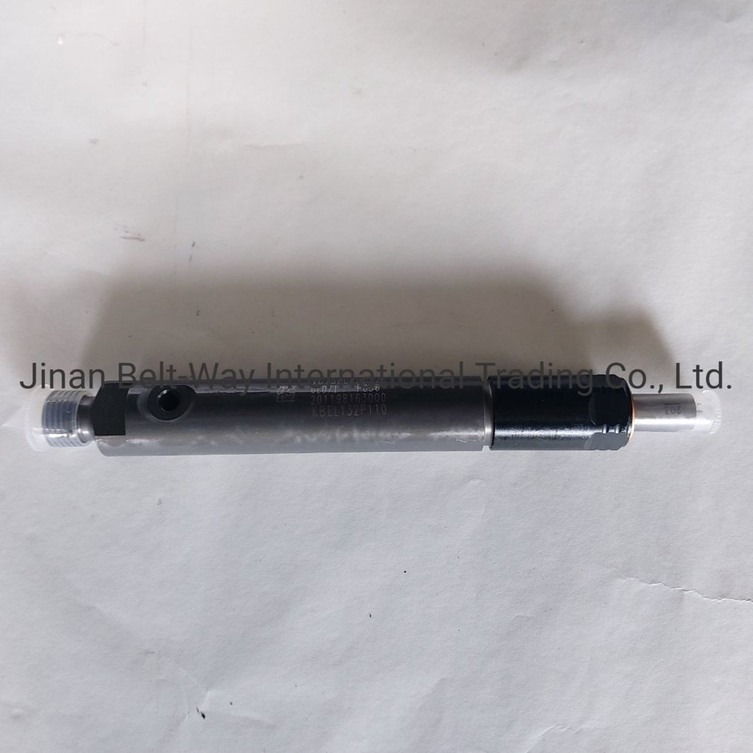 Sinotruk HOWO Parts Truck Parts Truck Spare Parts Fuel Injector Vg1560080276