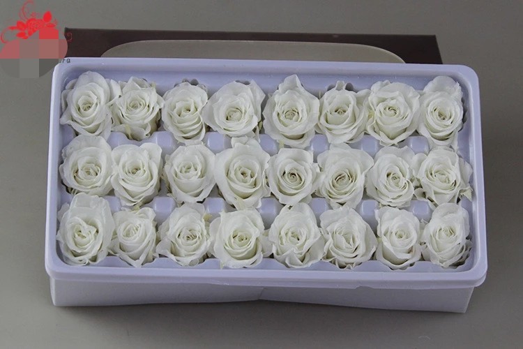 Wholesale real preserved rose stabilized natural preserved fresh flowers for Valentines day