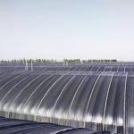 10m*100m Hydroponic Light Deprivation Greenhouse For Hemp Growing