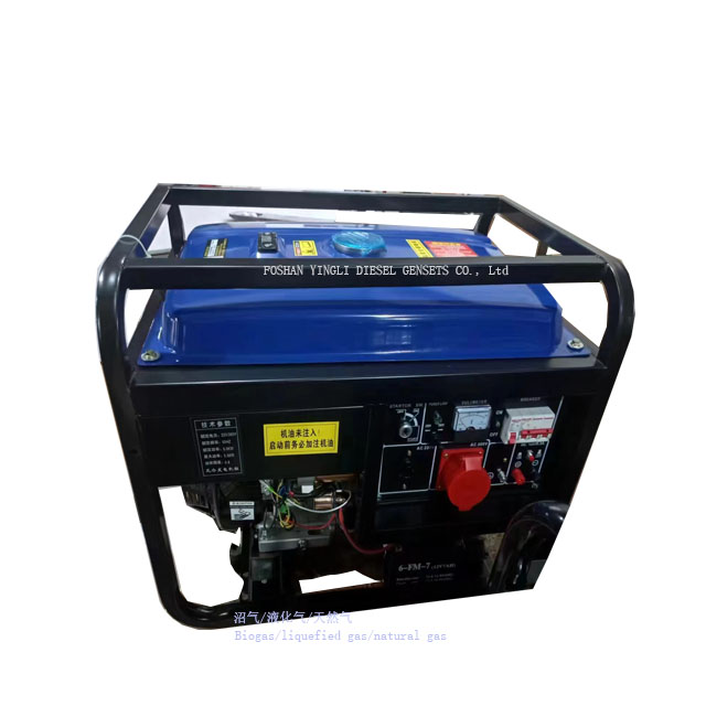 6.25KVA Power Diesel Generator For Home Biogas Generator Set 5KW AC Single Phase