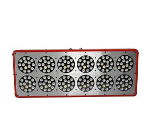 China led grow light 2016 apollo12 full spectrum led grow lights/5w cree led grow light/wholesal wholesale