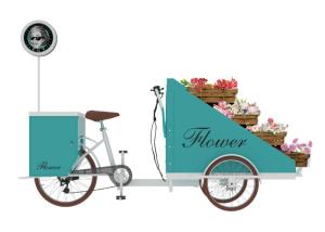 China Commercial Electric Food Vending Tricycles Fashion Appearance CE Approval wholesale