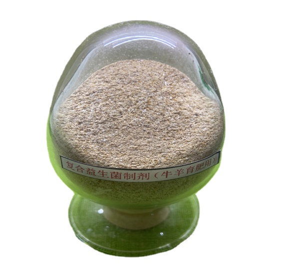 Guanidine Acetic Acid Prebiotics Probiotics Powder Blend Effective Live Probiotics 2 Billion For Ruminant Fatten Feed