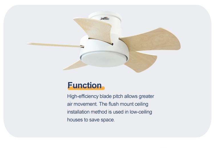 Energy Saving 28 Inch LED Ceiling Fan for Low Ceilings Metal Body and Flush Design