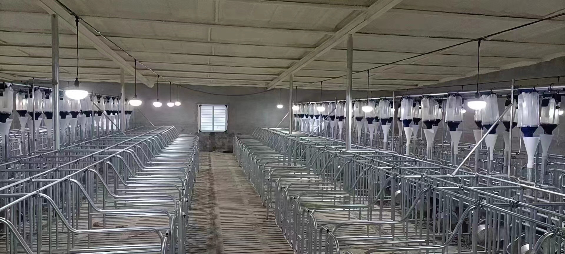 Swine Farming Equipment Individual Gestation Pen For Sow