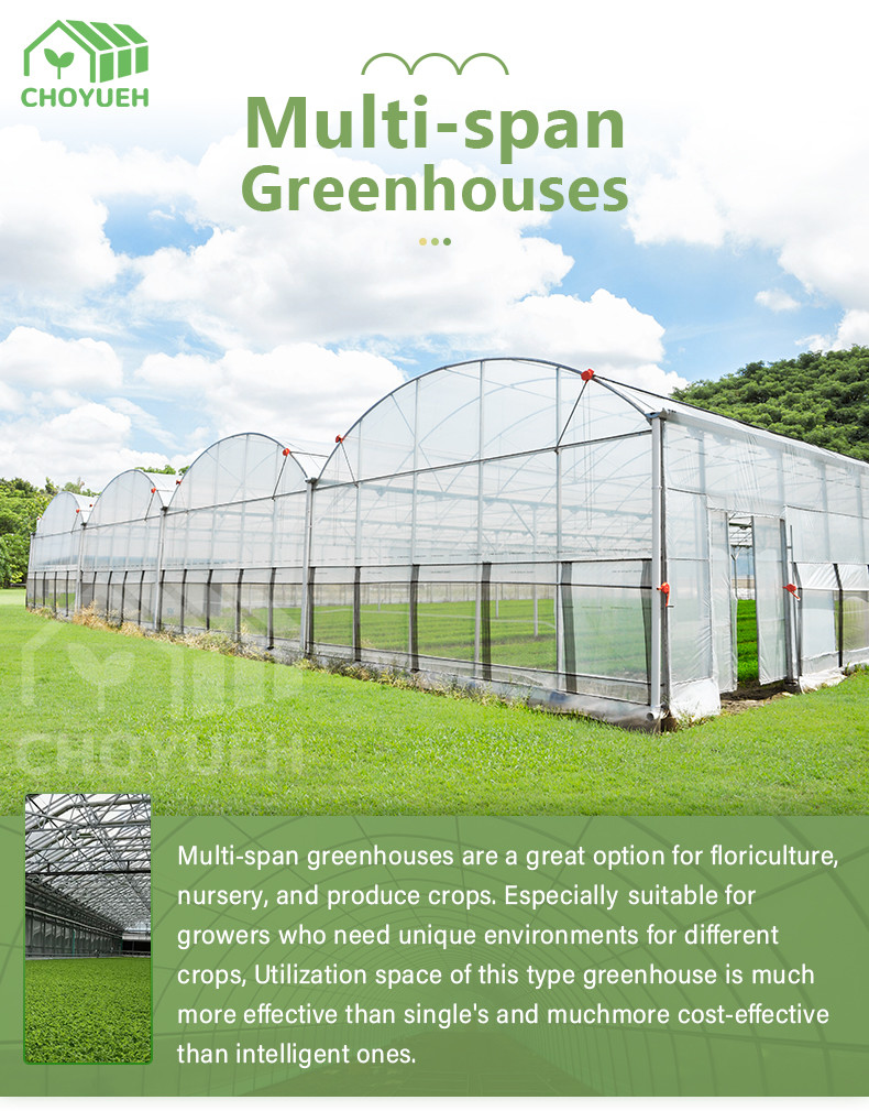 Double Layer PE Film Multi Span Film Greenhouse With Hydroponic System