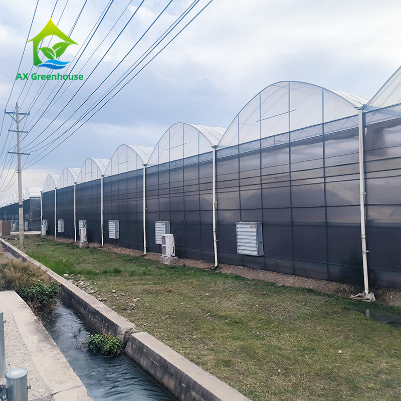 Greenhouse Tunnel Single-span Plastic Film for Agricultural Vegetables and Fruits