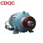 Family Size Motor Asynchronous Induction Motor High Accuracy Bearings