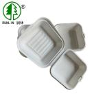Take Out Burger Bagasse Clamshell Box