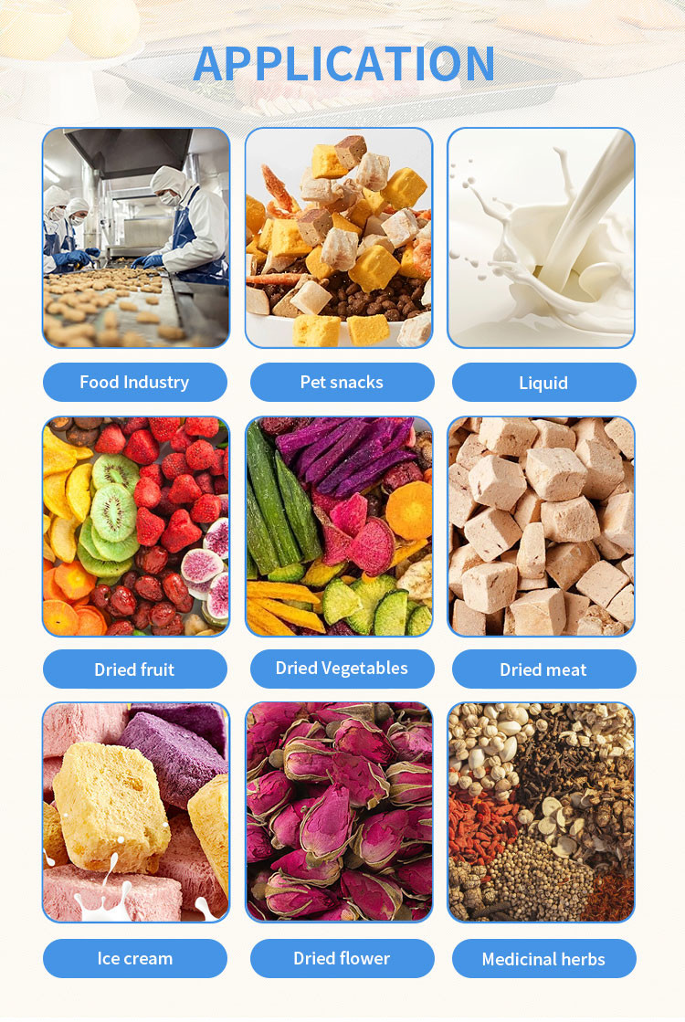 10-12 Kg/Batch Lyophilizer Vacuum Freeze Dryer For Candy