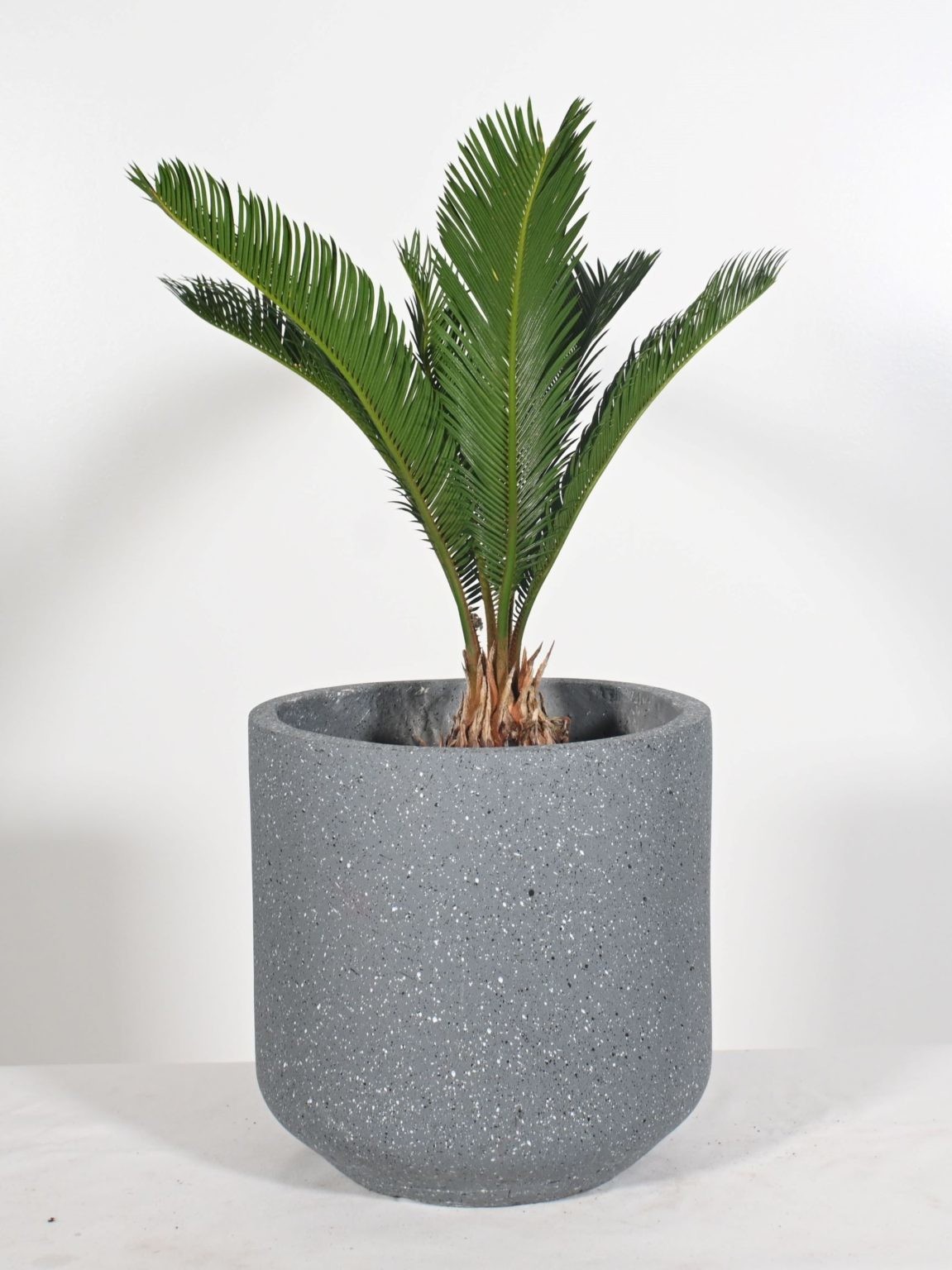 Frost Resistant FFiber Clay Planters For Indoor And Outdoor Plants
