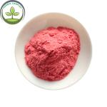 GMP Factory Wholesale Maqui Berry Powder