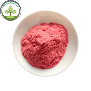 China GMP Factory Wholesale Maqui Berry Powder wholesale