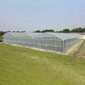 China Galvanized Steel Pipe Plastic Film Greenhouse Agricultural Multi Span wholesale