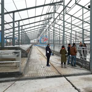 China Light Steel Structure Cow Shed Prefabricated Steel Frame Farm Buildings wholesale