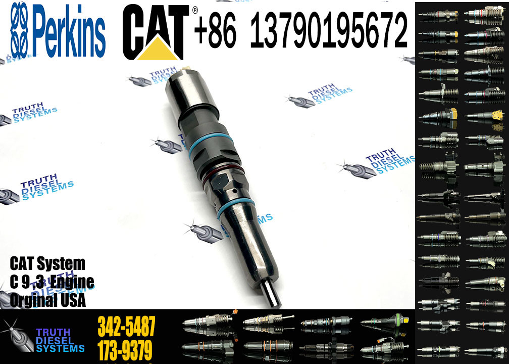 Fuel Injector 342-5487 382-0709 392-9046 456-3509 456-3589 324-5467 364-8024 171-9704