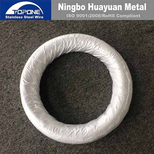 TOPONE Stainless Steel Straight Wire 302 0.25mmx30mm