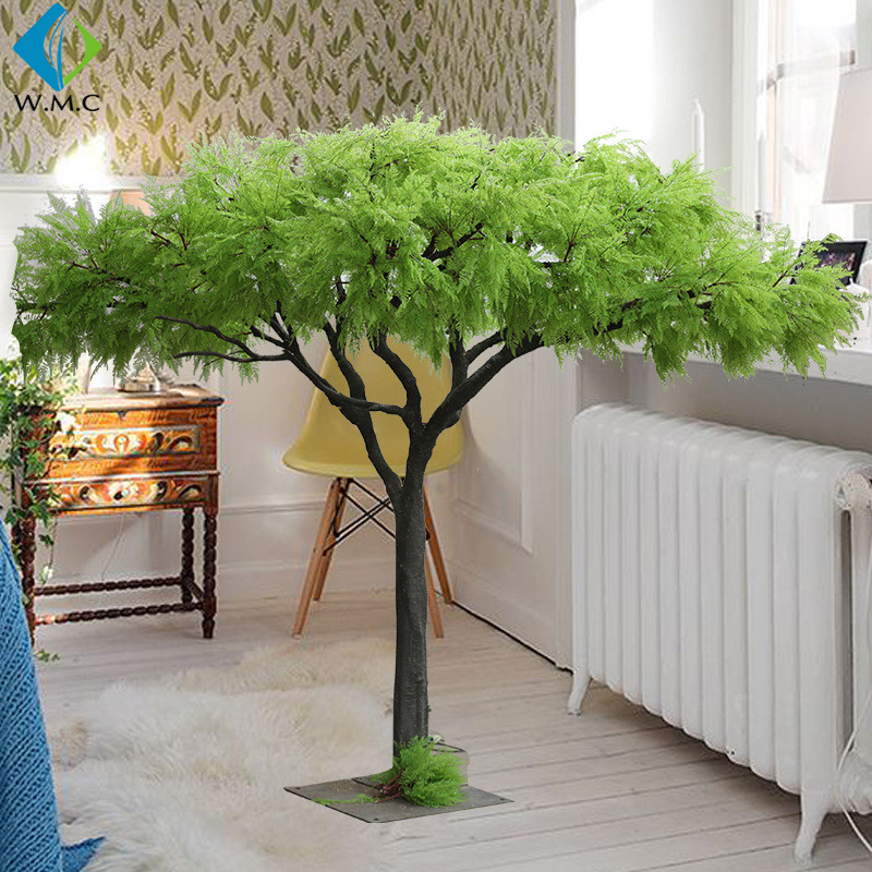T12019 acacia leaves.jpg